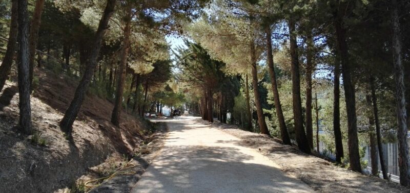 Terra Solida_linea nature_dioga Occhito