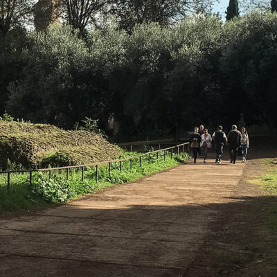 Pavimentazione carrabile ecologica