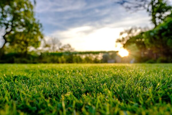 giardino calpestabile