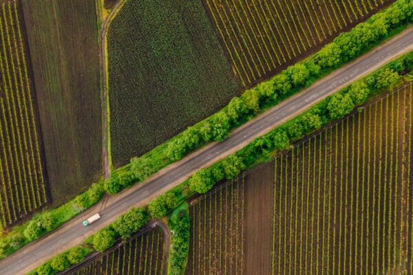 Pavimentazioni drenanti carrabili