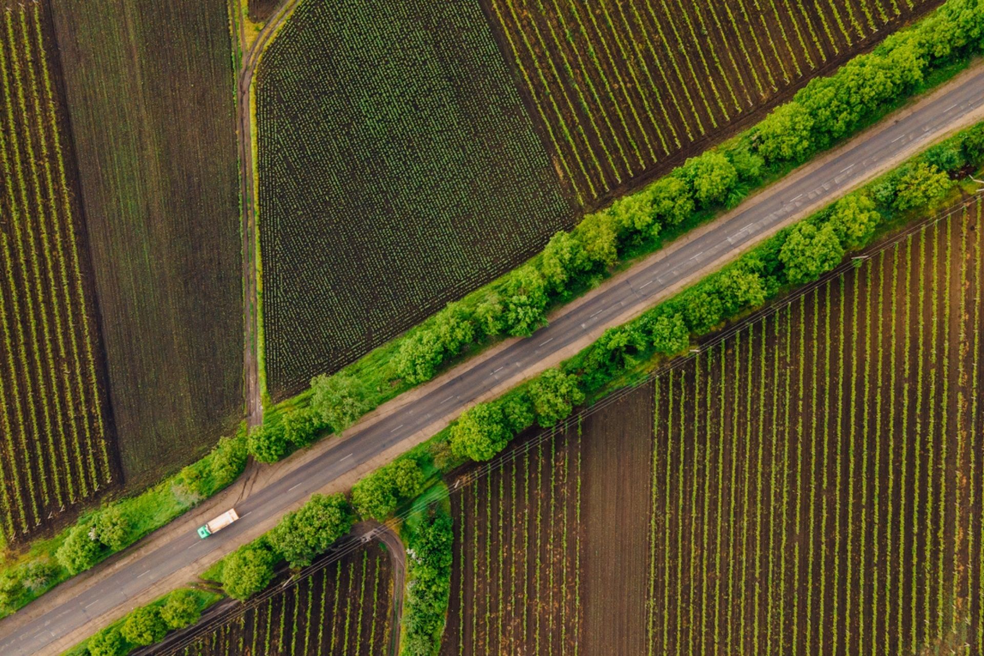 Pavimentazioni drenanti carrabili
