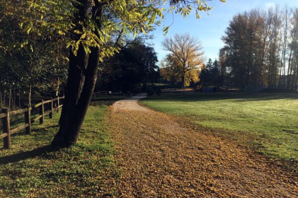 Parco San Valentino di Pordenone: pavimentazione ciclopedonale realizzata con misto stabilizzato Sarone