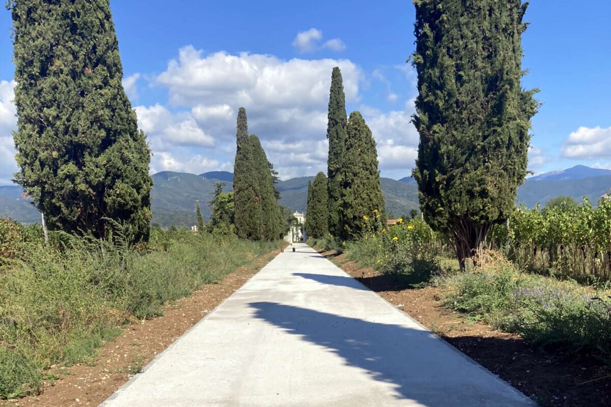 Villa De Claricini Dornpacher a Bottenicco di Moimacco (UD): viale di accesso realizzato con la terra stabilizzata