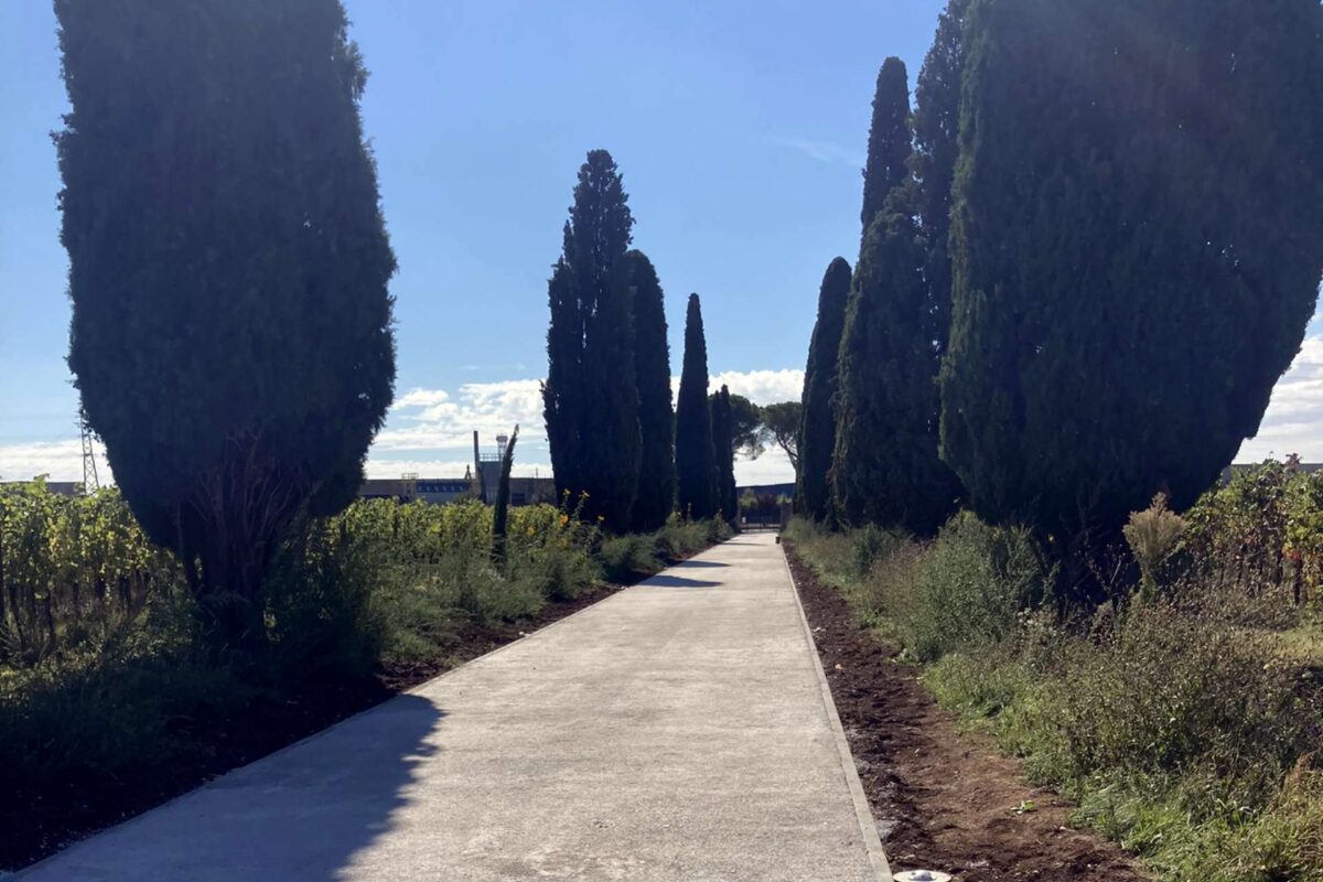 Villa De Claricini Dornpacher a Bottenicco di Moimacco (UD): viale di accesso realizzato con la terra stabilizzata