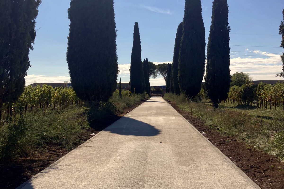 Villa De Claricini Dornpacher a Bottenicco di Moimacco (UD): viale di accesso realizzato con la terra stabilizzata