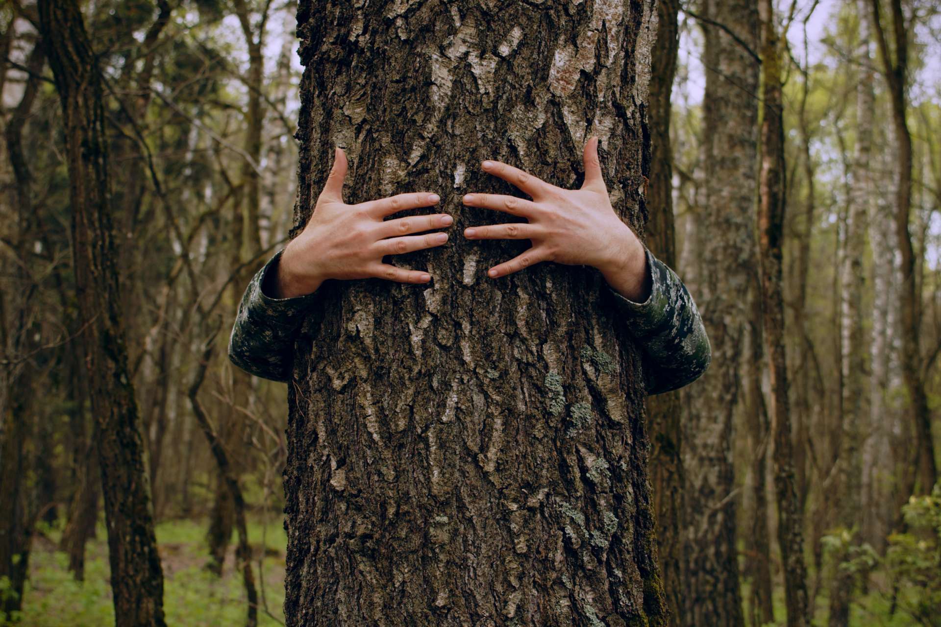 interventi in parchi e ambienti naturalistici