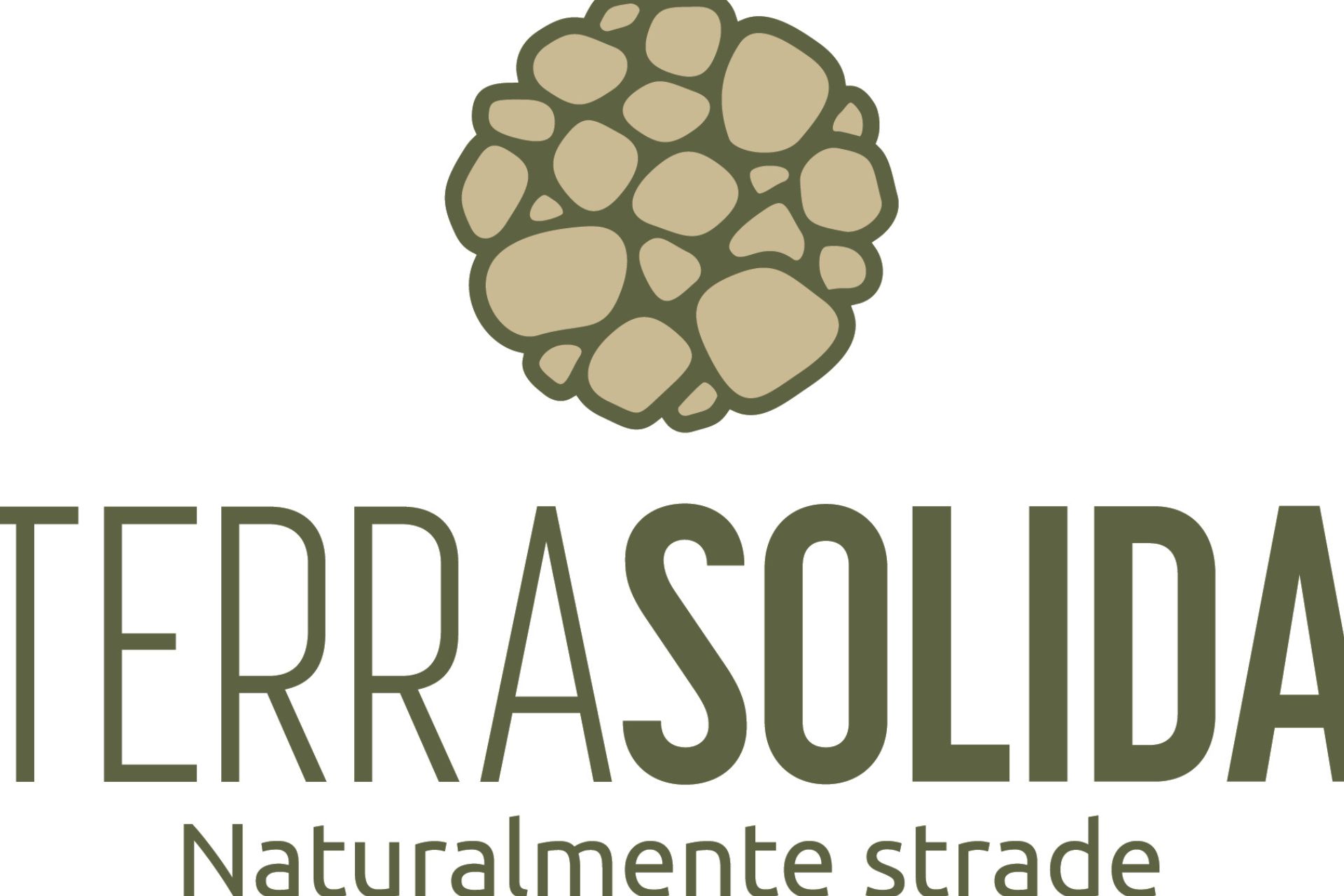 Terra Solida logo