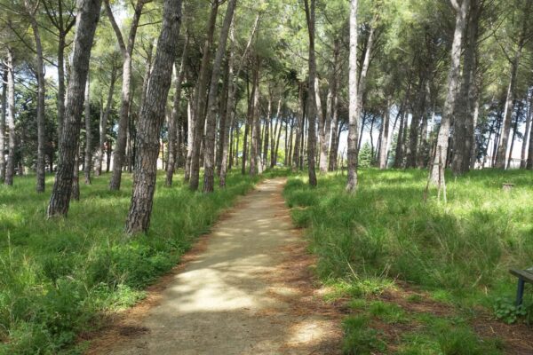 Pavimentazione naturale ecocompatibile con misto granulare stabilizzato