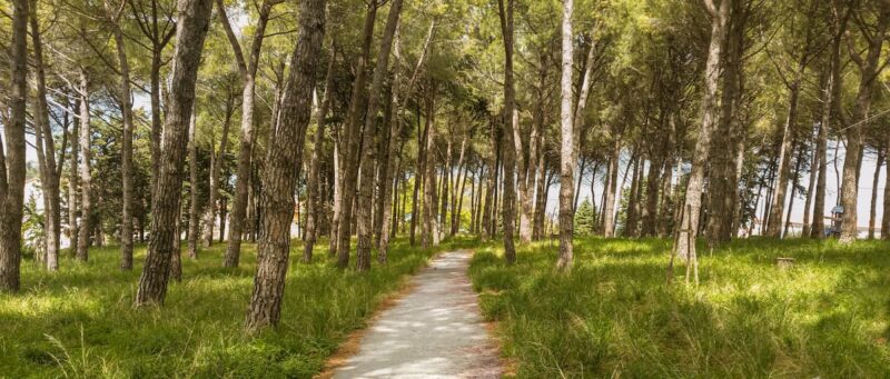 Pavimentazione naturale a contatto con il terreno vegetale