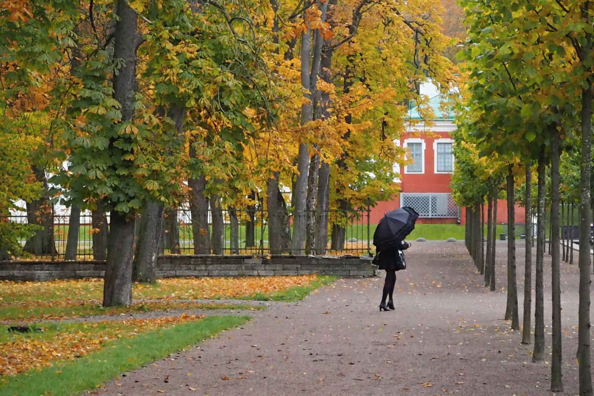 Tallinn, la città più verde d'Europa per il 2023
