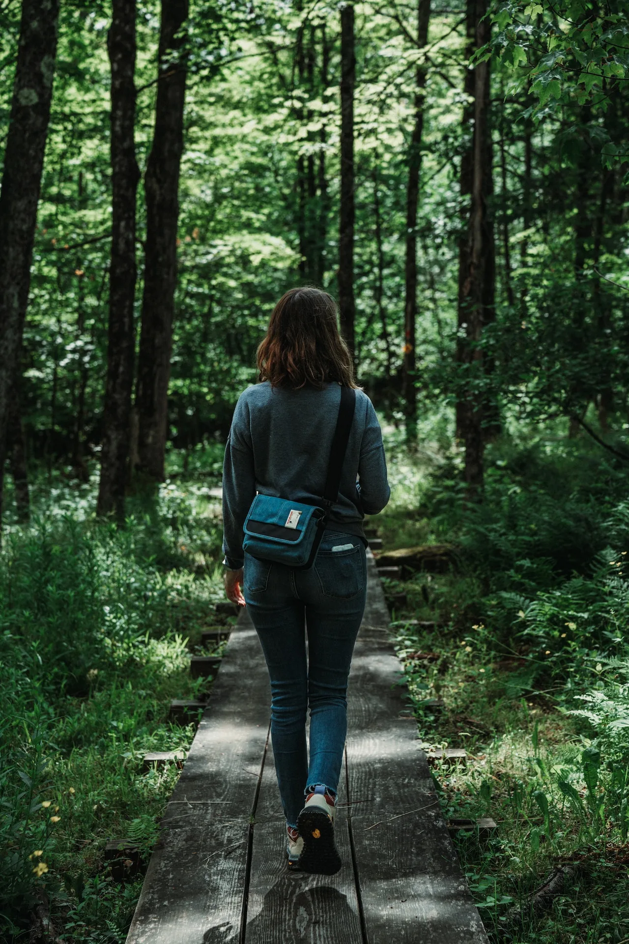 bosco: camminare nell foresta