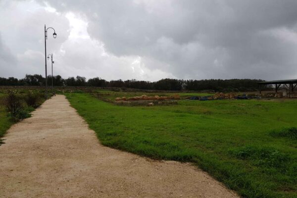 Realizzazione di pavimentazione naturale ecocompatibile con misto granulare stabilizzato Parco archeologico Muro Leccese