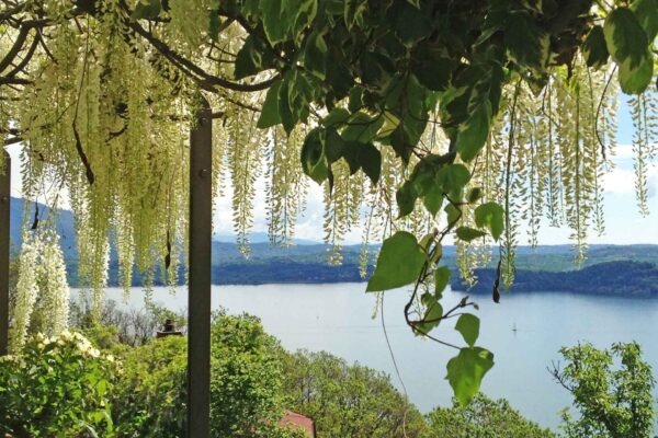 AIAPP e Andrea Cassone: la Casa del Paesaggio in Italia