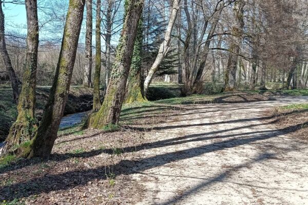 Pavimentazione permeabile in misto stabilizzato a Serra San Bruno