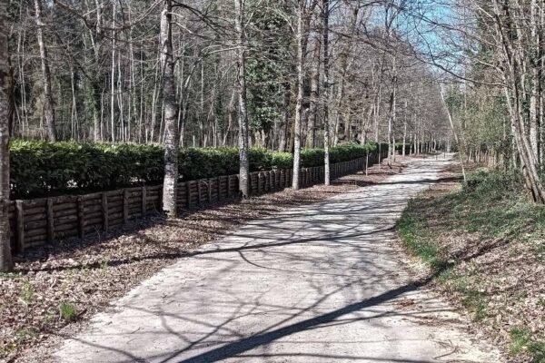 Pavimentazione permeabile in misto stabilizzato a Serra San Bruno