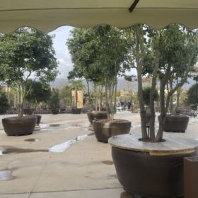 Relatori e pubblico al seminario AIAPP TUM al Naturart Village di Pistoia