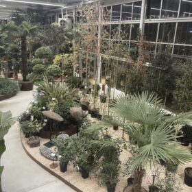 Relatori e pubblico al seminario AIAPP TUM al Naturart Village di Pistoia